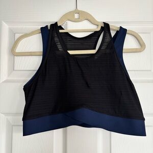 Ivy Park sports bra